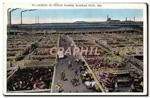 Cartes postales Scene In Stock Yards Kansas City Mo