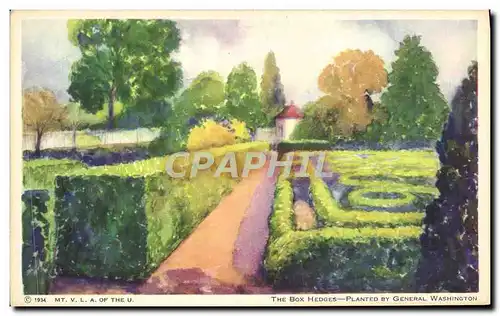 Cartes postales The Box Hedges Planted By General Washington Mount Vernon