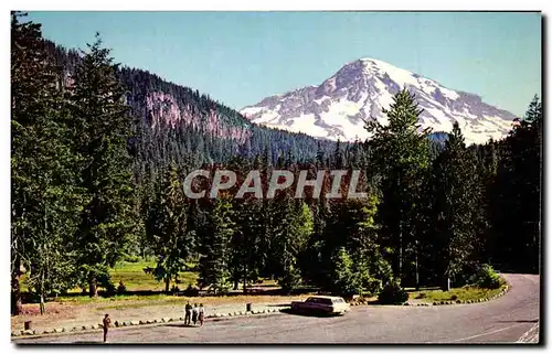 Cartes postales moderne Mount Rainier National Park Washington State