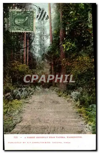 Cartes postales A Forest Driveway Near Tacoma Washington