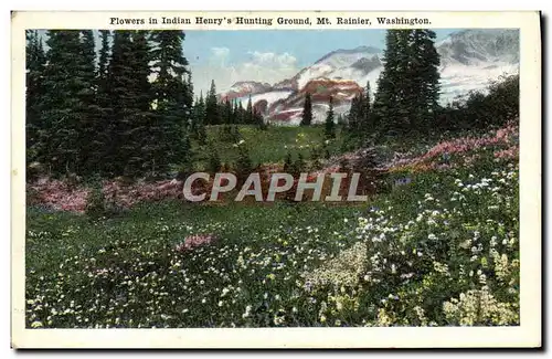Cartes postales Flowers In Indian Henry&#39s Hunting Ground Mt Rainier Washington