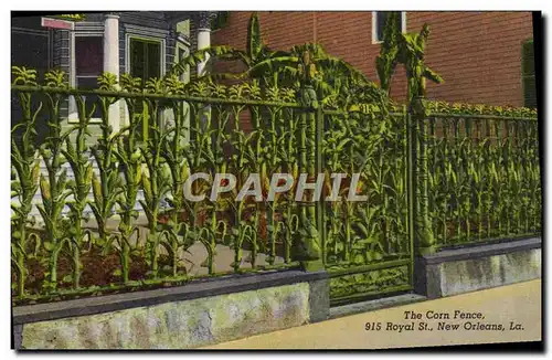 Cartes postales The Corn Fence Royal New Orleans