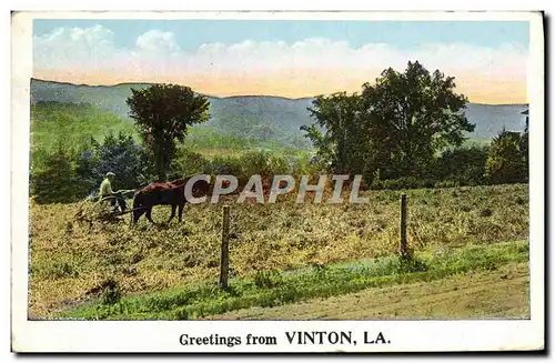 Cartes postales Greetings From Vinton