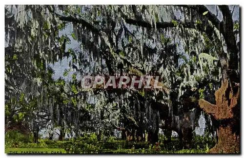Ansichtskarte AK The pakenham&#39s oaks New Orleans