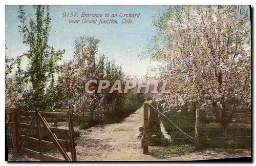 Ansichtskarte AK Colorado Entrance to an Orchard near Grand Junction