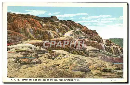 Cartes postales Mammoth Hot Springs Terraces Yellowstone Park