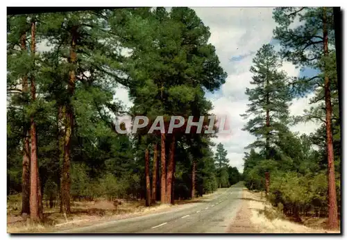 Cartes postales Arizona highway