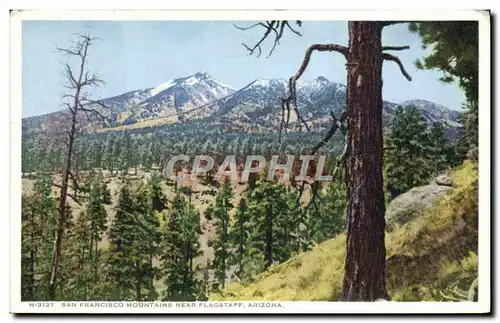 Ansichtskarte AK Arizona San Francisco Mountains Near Flagstaff