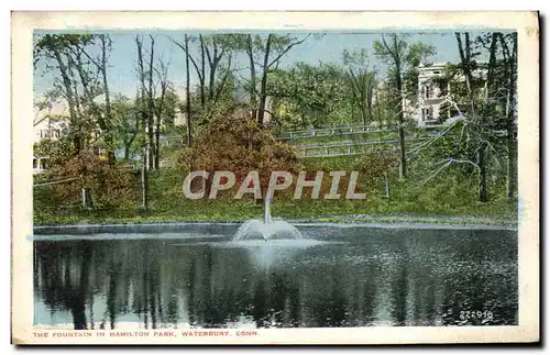 Cartes postales The Fountain In Hamilton park Waterbury Conn