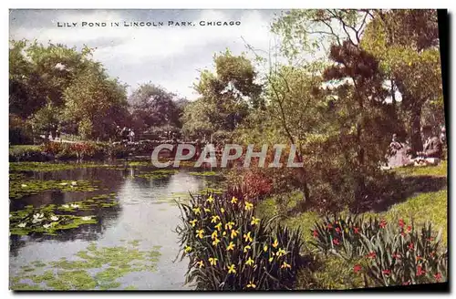 Ansichtskarte AK Chicago Lily Pond in Lincoln park