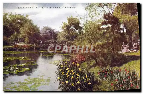 Cartes postales Chicago Lily Pond in Lincoln park