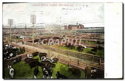 Cartes postales Chicago Union Stock Yards Vaches Betail