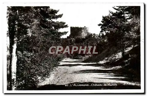 Cartes postales L&#39Auvergne Chateau de Murois