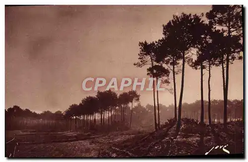 Cartes postales Arcachon Douce matinee d'automne aux Dunes dans la Foret