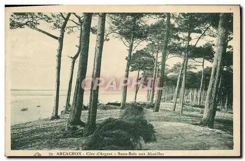 Cartes postales Arcachon Cote d'Argent Sous Bois aux Abatilles