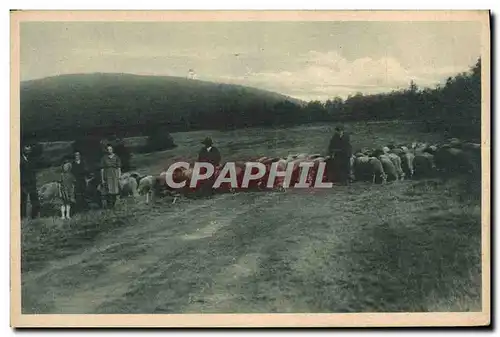 Cartes postales Partie na Radhosti Berger Moutons