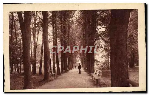 Ansichtskarte AK Stubinanske Teplice Hlavna Alea Stunenbad Hauptalee Stubnyafurdo Parksetany L&#39Allee Prinicipa