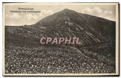 Cartes postales Riesengebirge Schneekoppe Vom Rubezhlgarten
