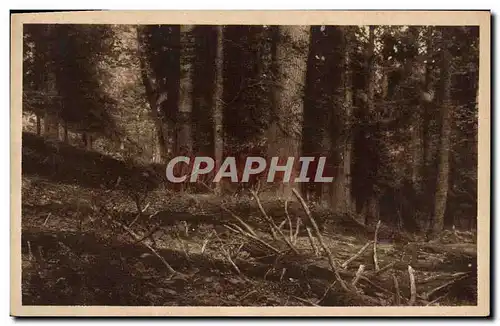 Cartes postales Sumava Prales