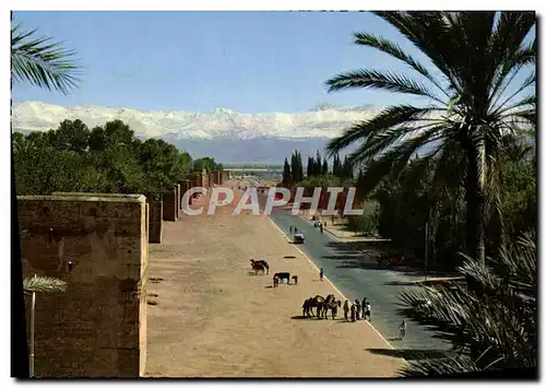 Cartes postales moderne Marrakech Les Remparts Et Le Grand Atlas