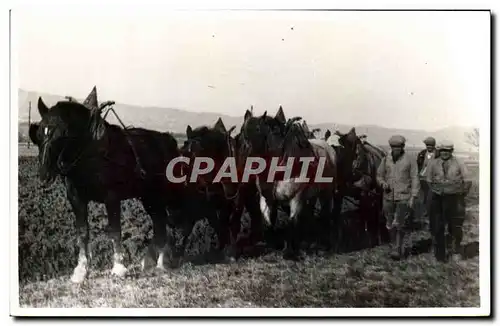 CARTE PHOTO Attelage Cheval Paysans Folklore