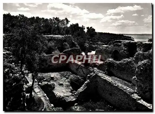 Cartes postales moderne Sirmione Zona archeologica delle Grotte di Catullo L&#39avancorpo sttendrionale