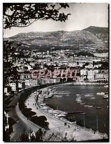 Cartes postales moderne Monaco Le Quai Albert 1er