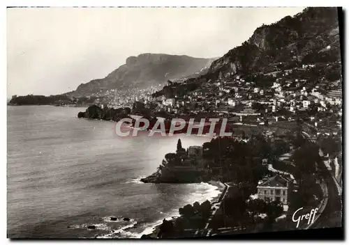 Cartes postales moderne Monte Carlo Monaco Vue vers la tete de chien