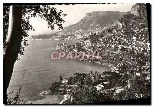 Cartes postales moderne Le Principaute de Monaco et la tete de Chien vues de Roquebrune