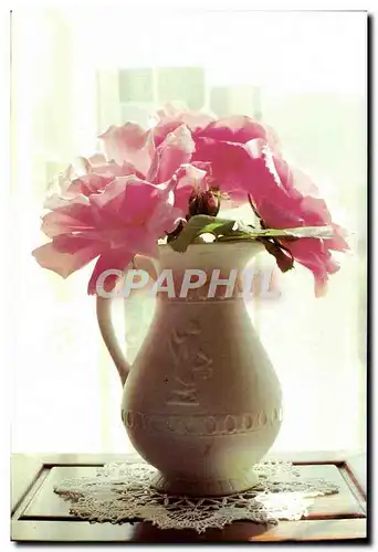 Cartes postales moderne Betsy O'Hara Sunlit roses