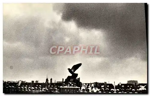 Cartes postales moderne Paris Venezia Place des Vosges Pigeon