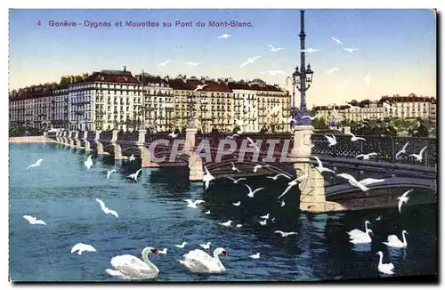 Cartes postales Geneve Cygnes et Mouettes au Pont du Mont Blanc