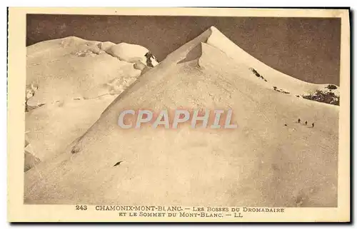 Cartes postales Chamonix Mont Blanc Les Bosses Du Dromadaire et le sommet du Mont Blanc