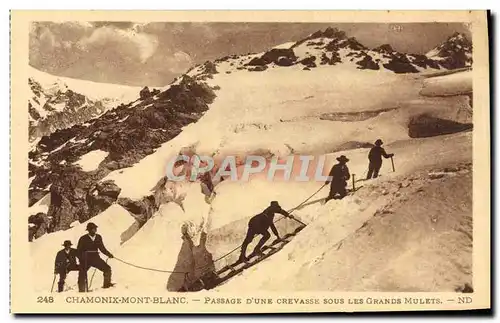 Ansichtskarte AK Chamonix Mont Blanc Passage D&#39Une Crevasse Sous Les Grands mulets Alpinisme