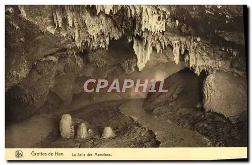 Cartes postales Grottes de Han La Salle des Mamelons