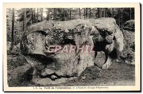 Ansichtskarte AK Foret De Fontainebleau L&#39Elephant Elephant