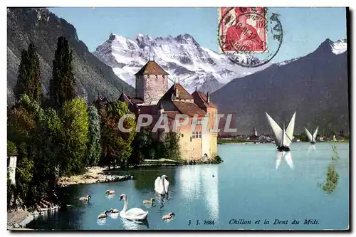 Cartes postales Chillon Et La Dent Du Midi Cygnes