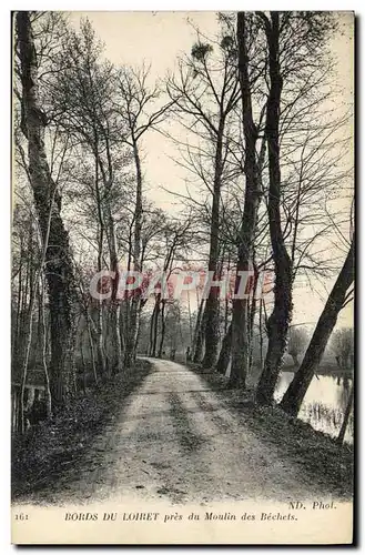 Cartes postales Bords Du Loiret Pres Du Moulin Des Bechets