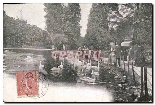 Cartes postales Paris Bois de Boulogne Cygnes