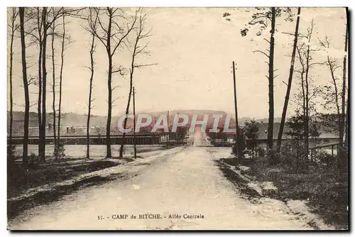 Cartes postales Camp De Bitche Allee Centrale Militaria
