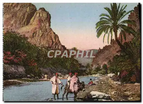 Cartes postales La Porte Du Desert Ane Mule