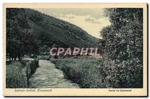 Cartes postales Radium Solbad Kreuznach Partie Im Salinental