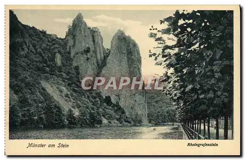 Cartes postales Munster Am Stein Rheingrafenstein