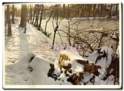 Cartes postales moderne Paysage sous la neige