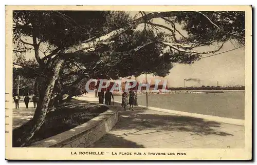 Cartes postales La Rochelle La Plage Vue A Travers Les Pins