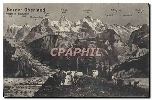 Cartes postales Berner Oberland Femme Vaches