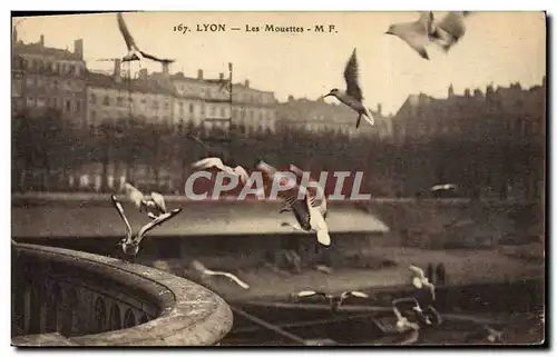 Cartes postales Lyon Les Mouettes