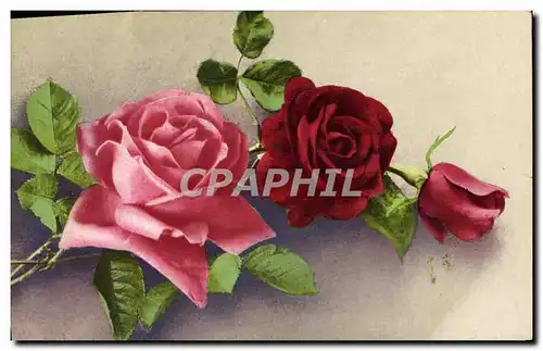 Cartes postales Fantaisie Fleurs