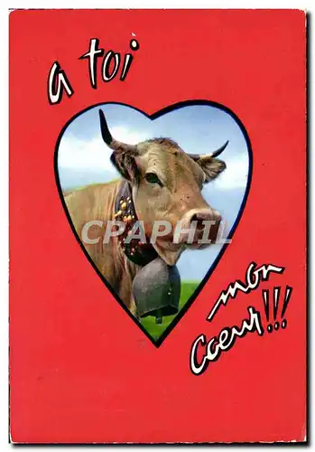 Cartes postales moderne Vache