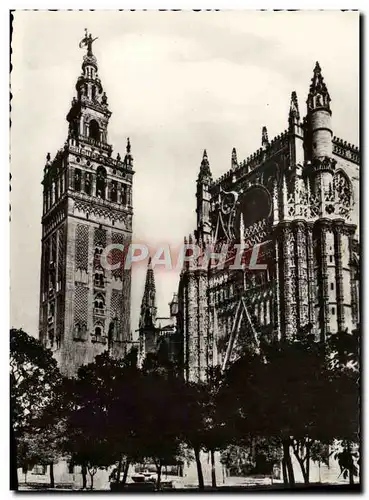 Moderne Karte Sevilla Patio de los Naranjous Catedral